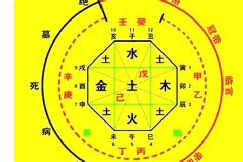 出生日期 八字|生辰八字算命、五行喜用神查询（免费测算）